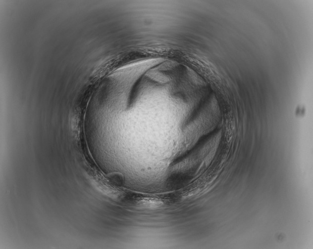 X0000096190749200802011406