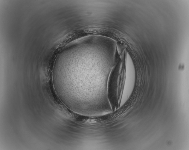 X0000096190751200802011406