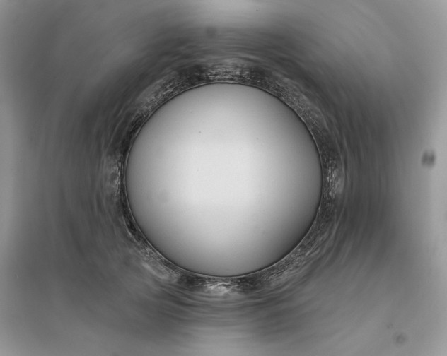 X0000096190753200802011406