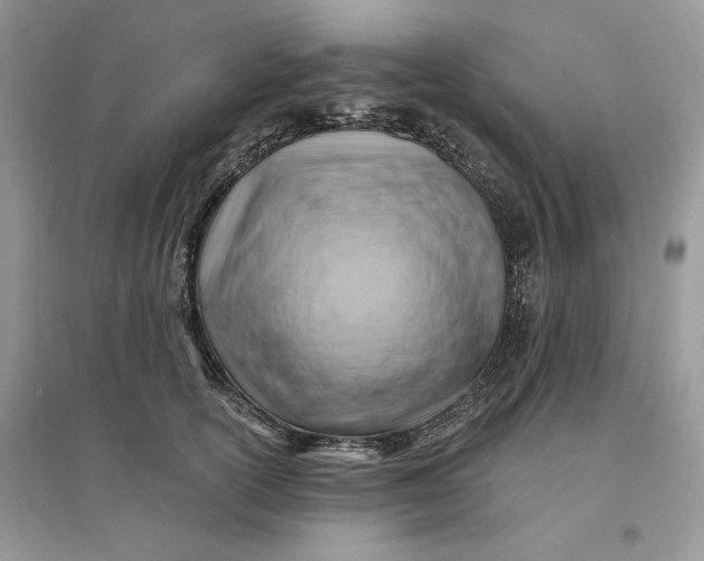 X0000096190754200802011406