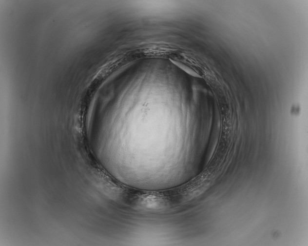 X0000096190755200802011406