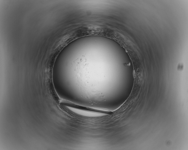 X0000096190756200802011407