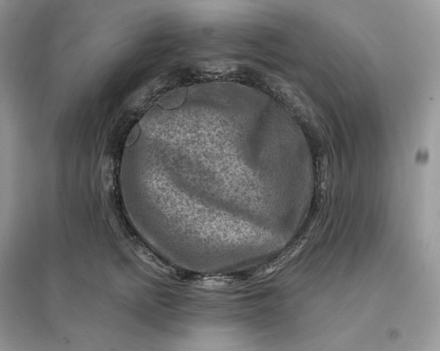 X0000096190758200802011407