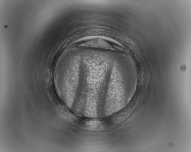 X0000096190759200802011407