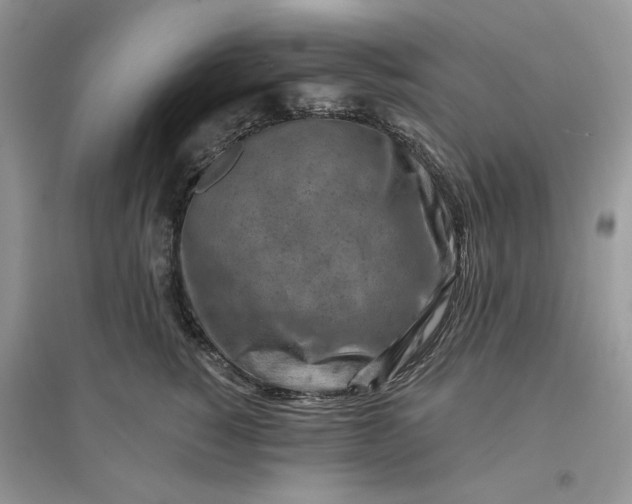 X0000096190760200802011407