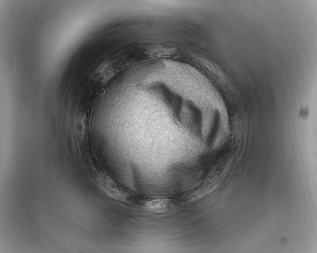 X0000096190761200802011407