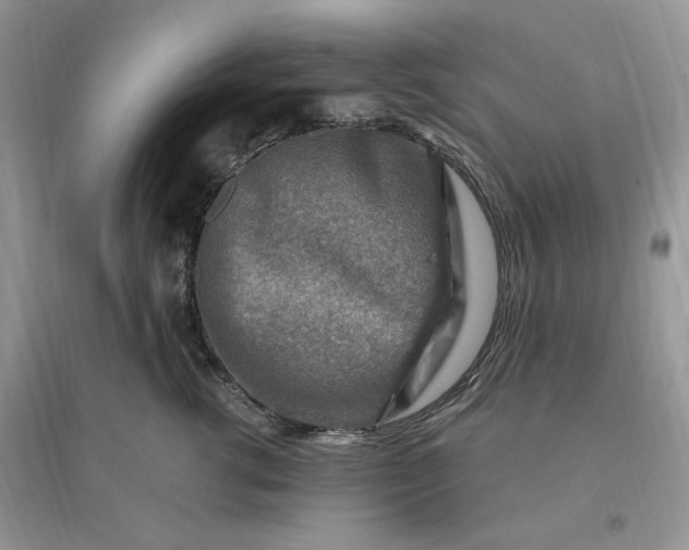 X0000096190762200802011407