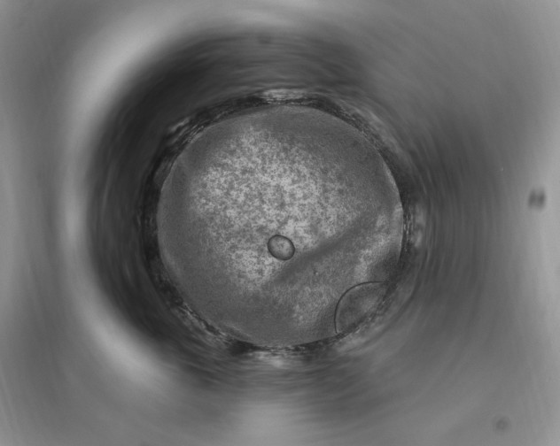 X0000096190763200802011407