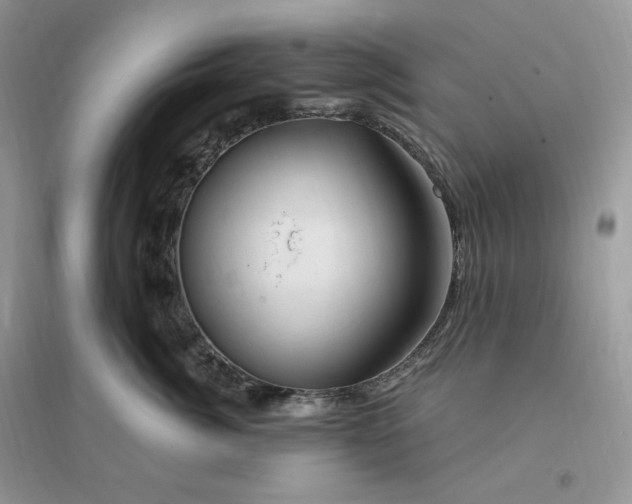 X0000096190764200802011407