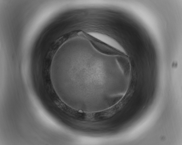 X0000096190766200802011407