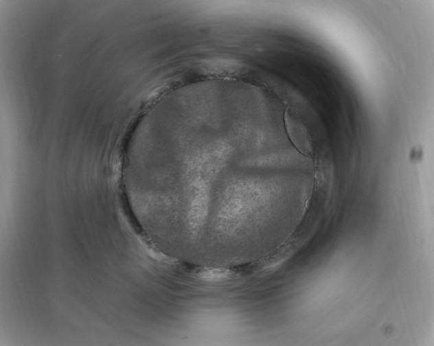 X0000096190767200802011407