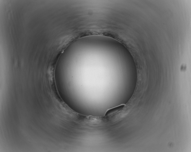 X0000096190768200802011407