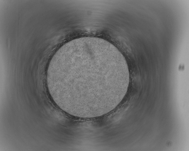 X0000096190769200802011406