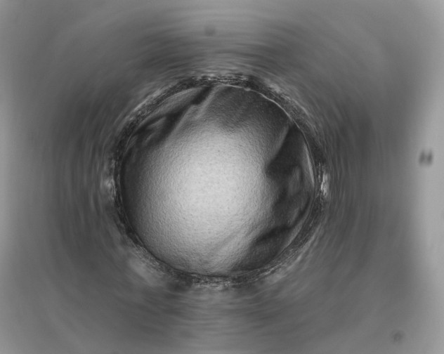 X0000096190771200802011406