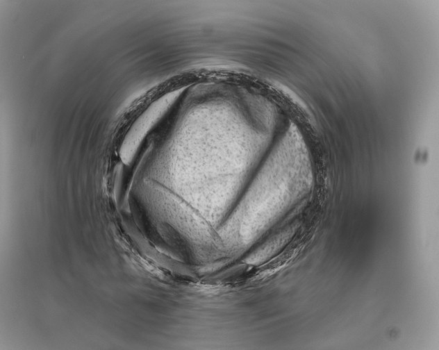 X0000096190775200802011406