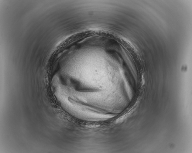 X0000096190776200802011406