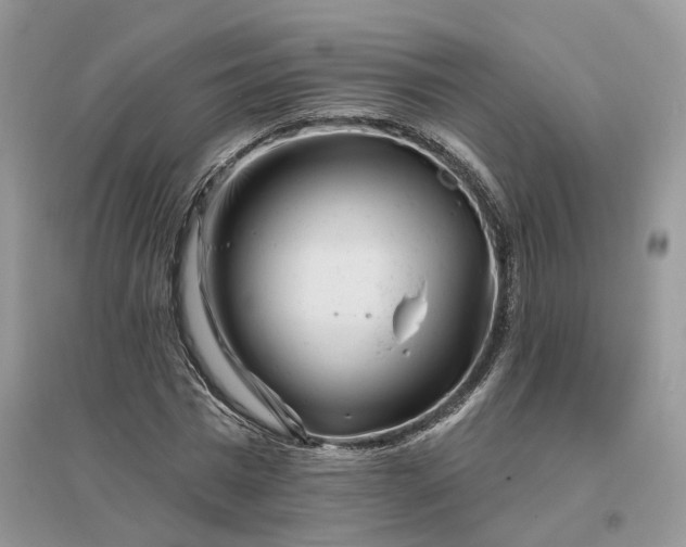 X0000096190777200802011406