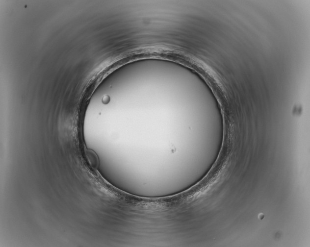 X0000096190778200802011406