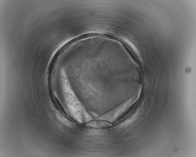 X0000096190779200802011406