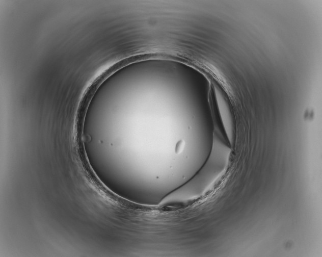 X0000096190780200802011406