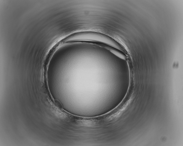 X0000096190781200802011406