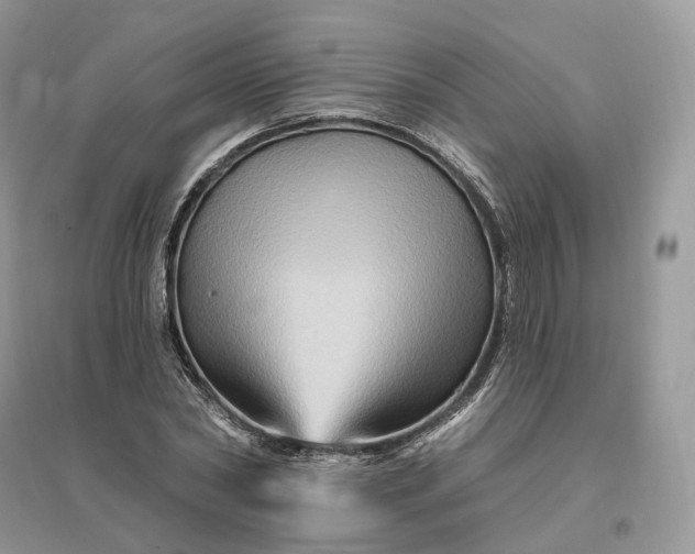 X0000096190782200802011406