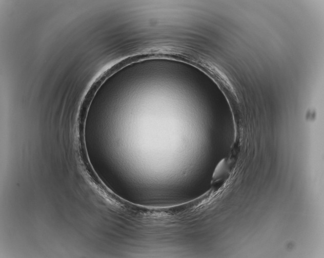 X0000096190784200802011406