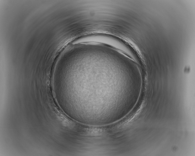 X0000096190785200802011406