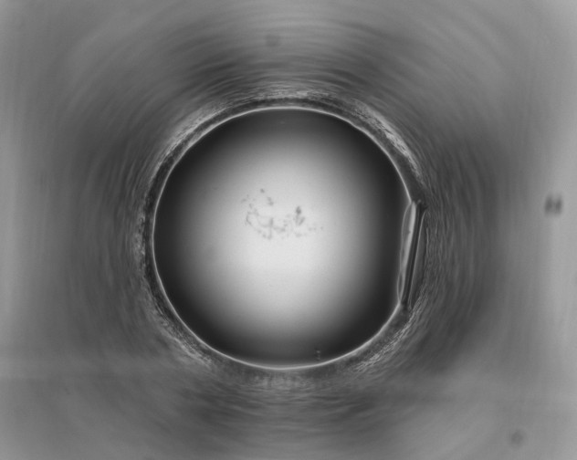 X0000096190786200802011406