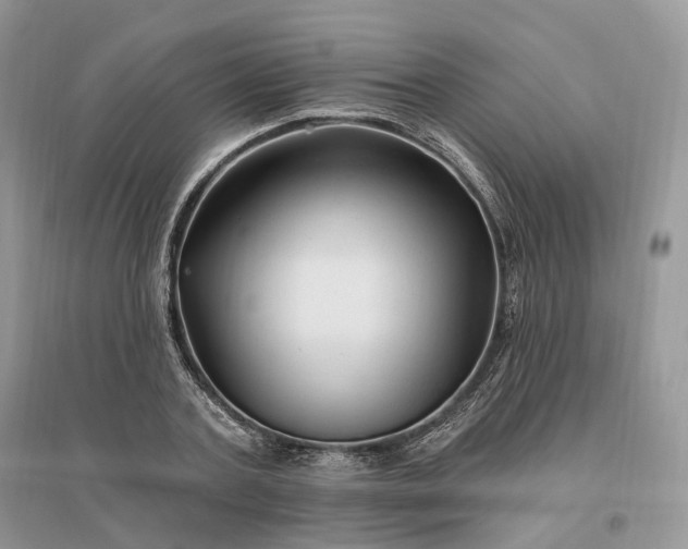 X0000096190787200802011406