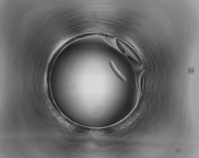 X0000096190788200802011406