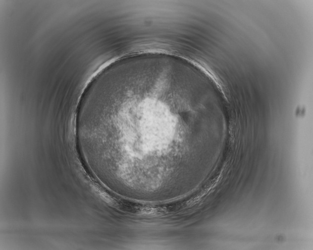 X0000096190790200802011406