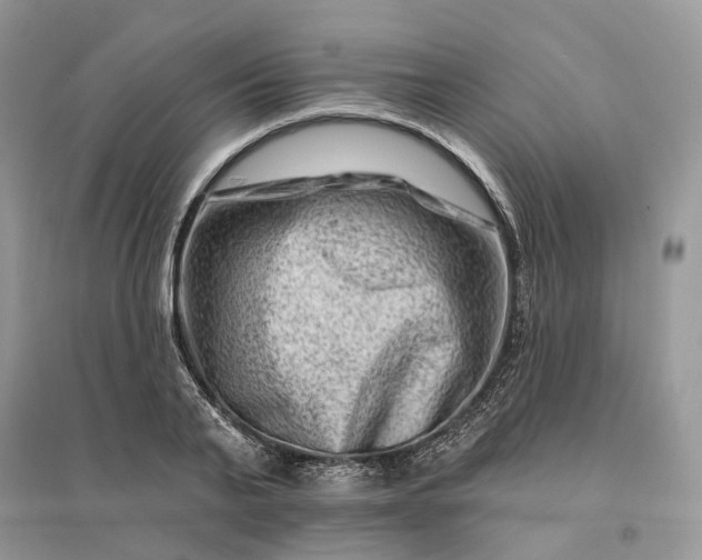 X0000096190791200802011406