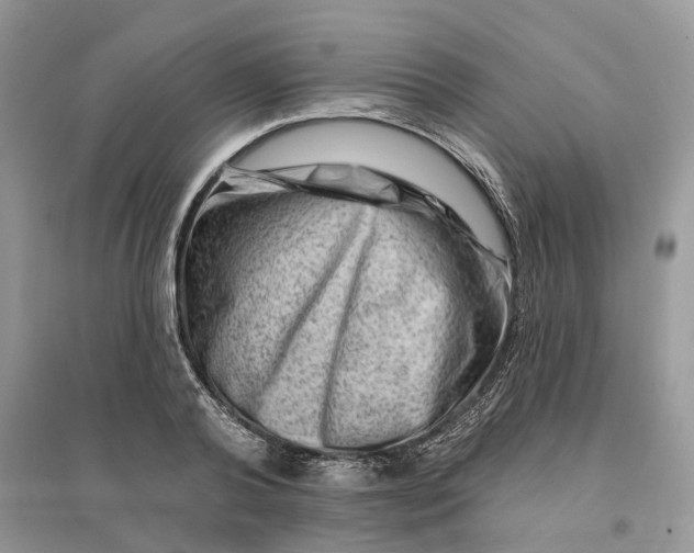 X0000096190792200802011406