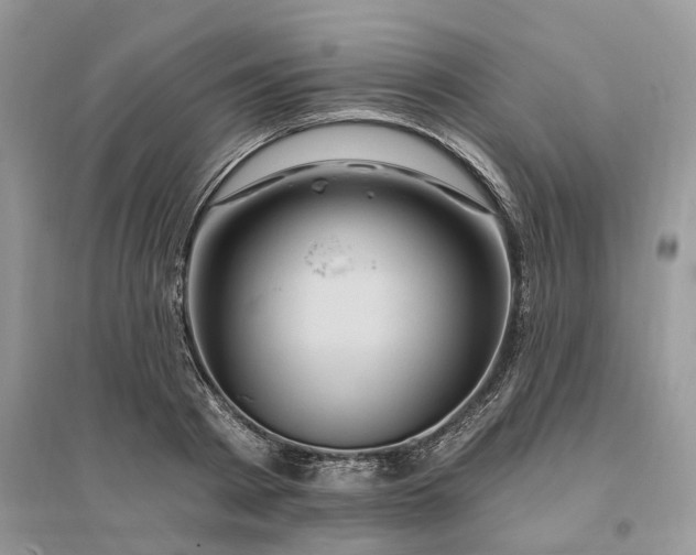 X0000096190793200802011406