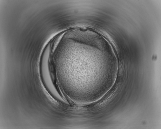 X0000096190795200802011406