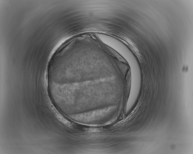 X0000096190796200802011406