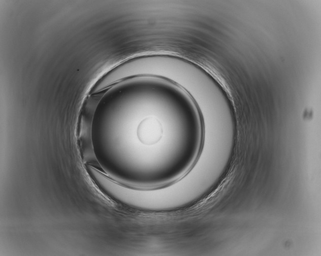 X0000096190797200802011406