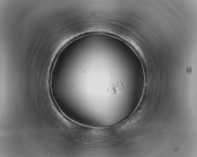 X0000096190799200802011406