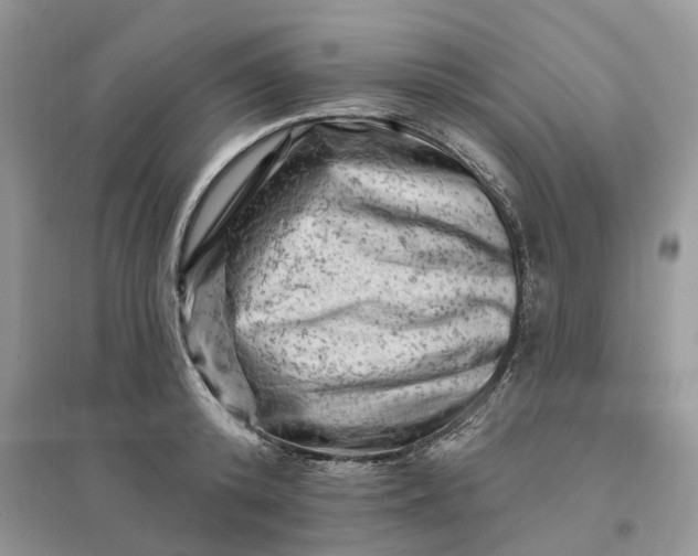 X0000096190800200802011406