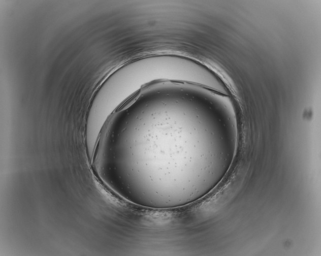 X0000096190801200802011406