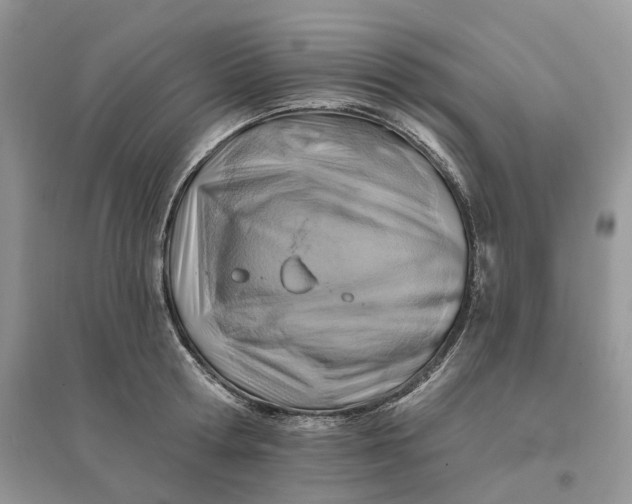 X0000096190802200802011406