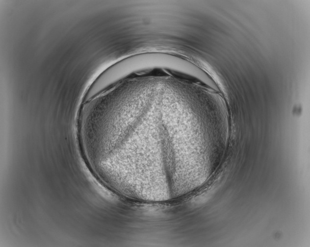 X0000096190803200802011406