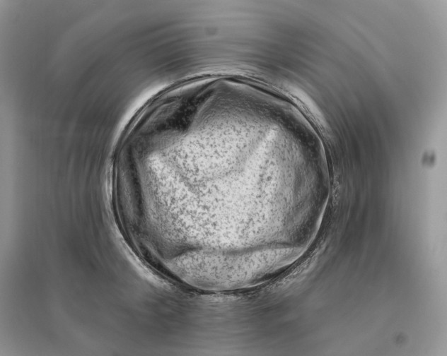 X0000096190804200802011406