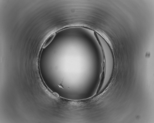 X0000096190805200802011406