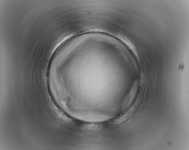 X0000096190806200802011406