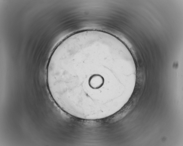 X0000096190807200802011405