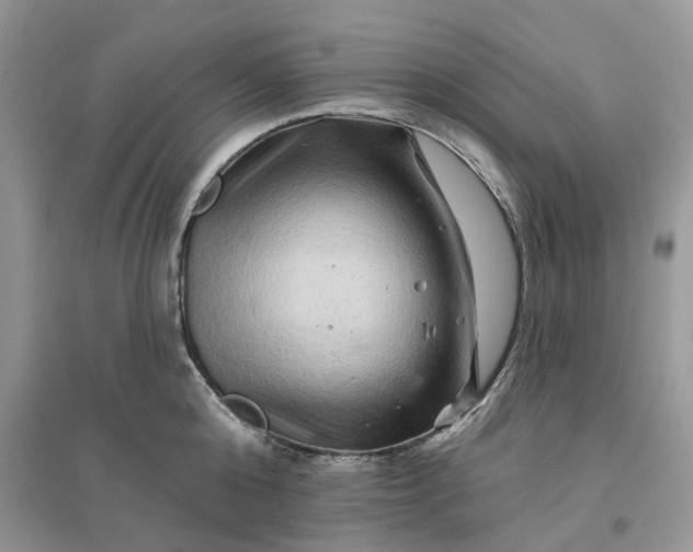 X0000096190808200802011405