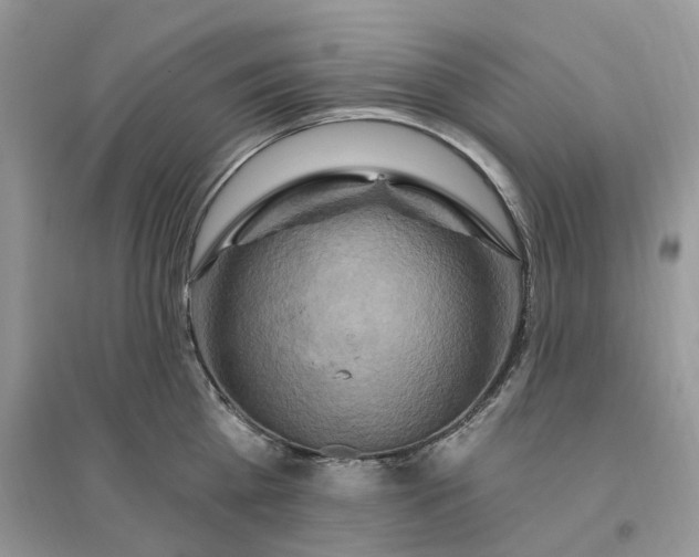 X0000096190809200802011405