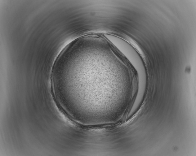 X0000096190810200802011405